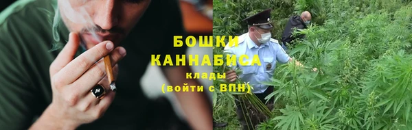 прущие грибы Костерёво