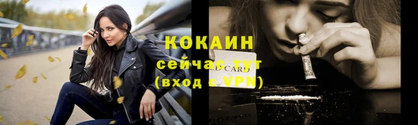 соль ск Коряжма