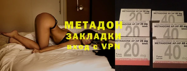 прущие грибы Костерёво