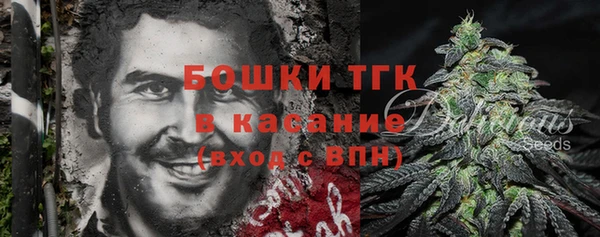 прущие грибы Костерёво