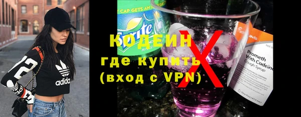 прущие грибы Костерёво
